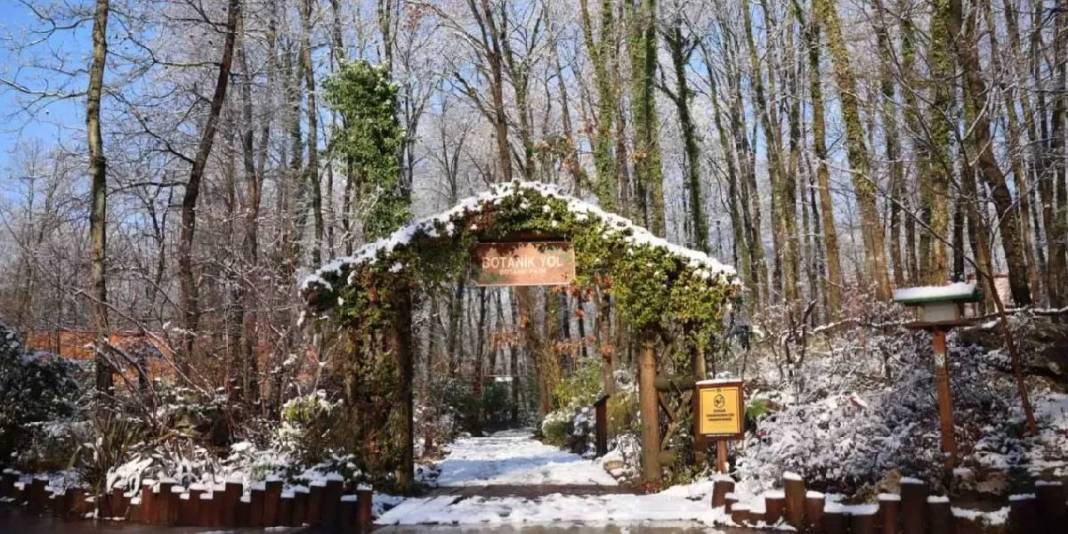 Avrupa’nın en büyüğü Türkiye’de! Kocaeli’nin Ormanya’sı beyaza büründü, duru haliyle ziyaretçilerini ağırlıyor 3